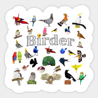 Bird Loving Birder Sticker